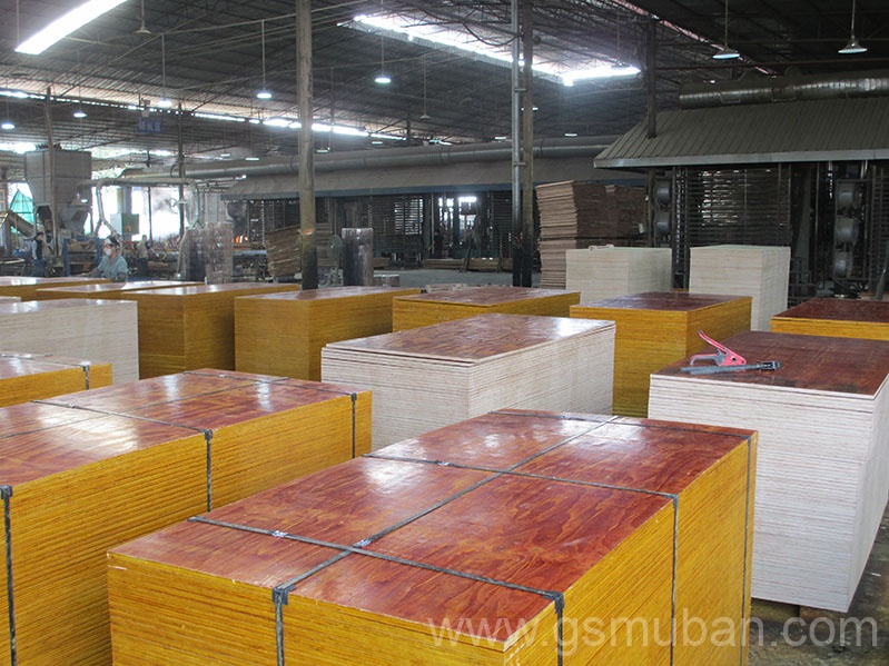 2025年建筑木模板行業新趨勢！